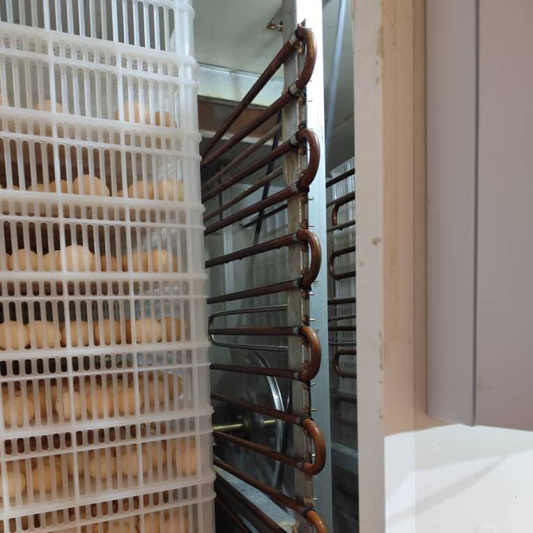 whatsapp image 2025 09 02 at 12.47.07 0d0c2426