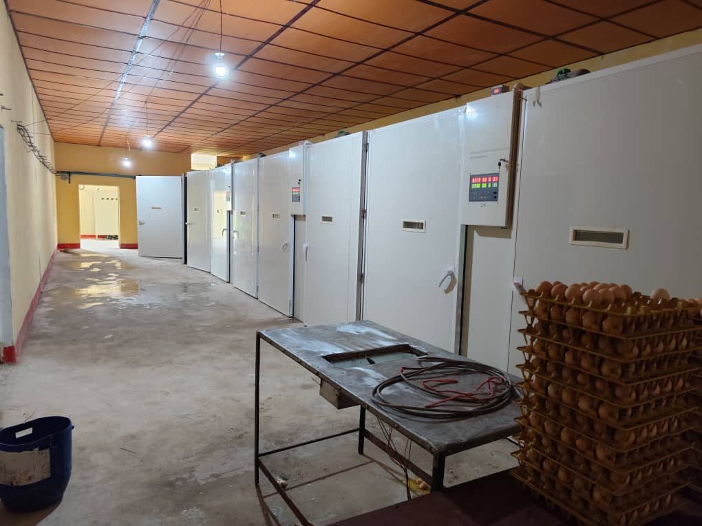 whatsapp image 2025 09 02 at 12.47.06 17d4fc95